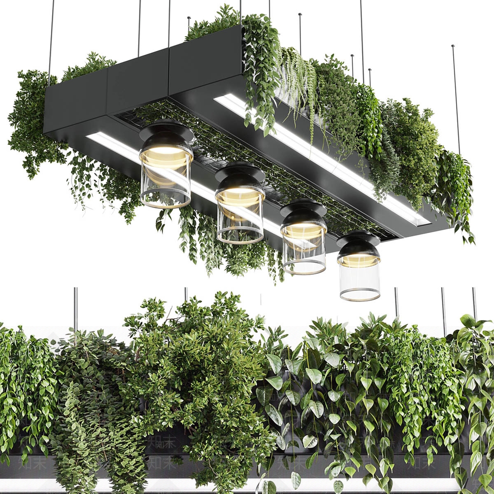 现代植物吊灯3D模型下载【ID:1134463653】