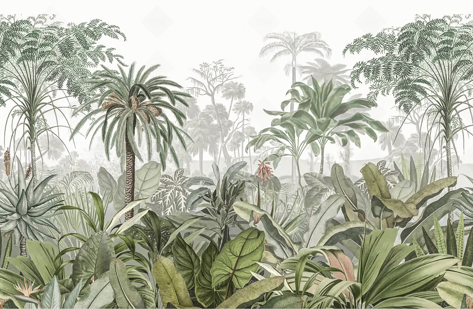 植物背景壁纸贴图下载【ID:1134484796】