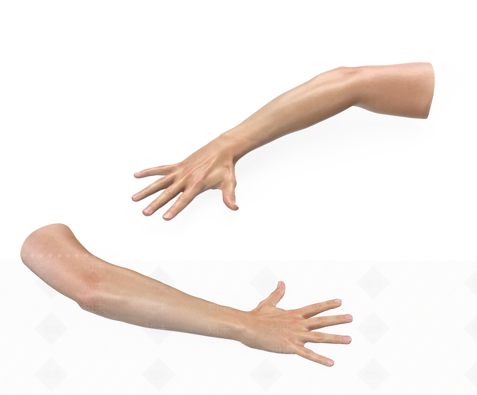手臂3D模型下载【ID:1134734660】