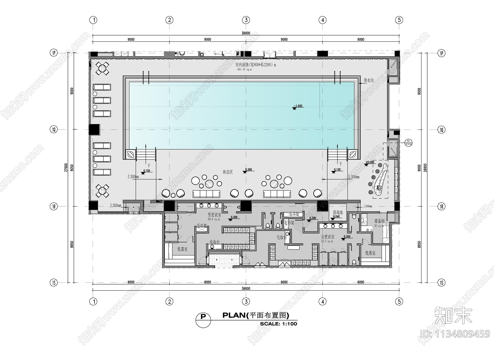 室内游泳池施工图下载【ID:1134809459】