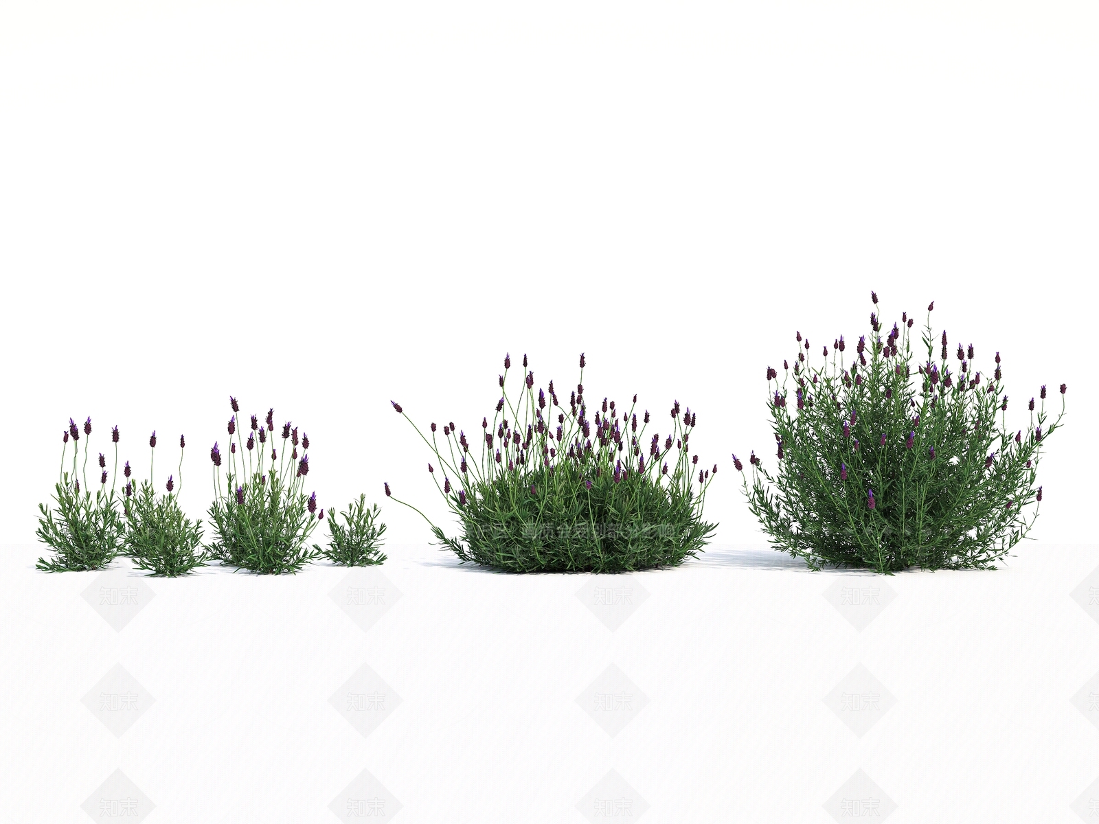 花草3D模型下载【ID:1134827570】