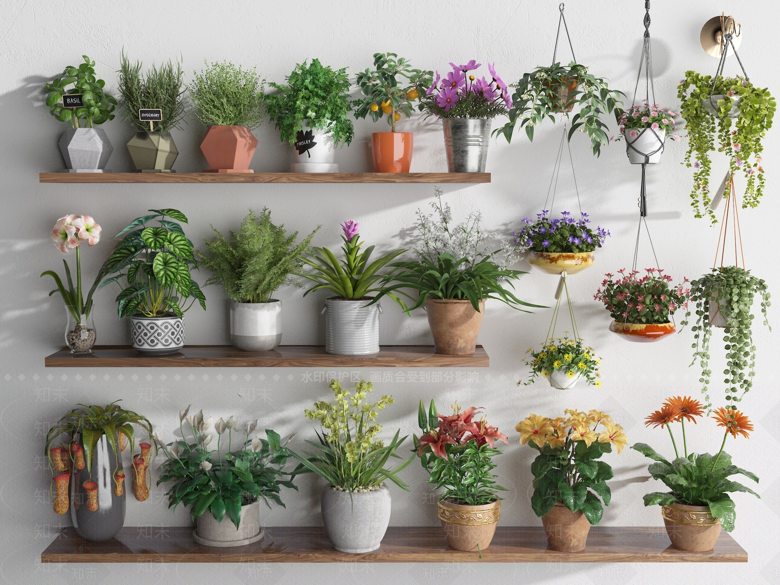 花卉盆栽3D模型下载【ID:1134926105】