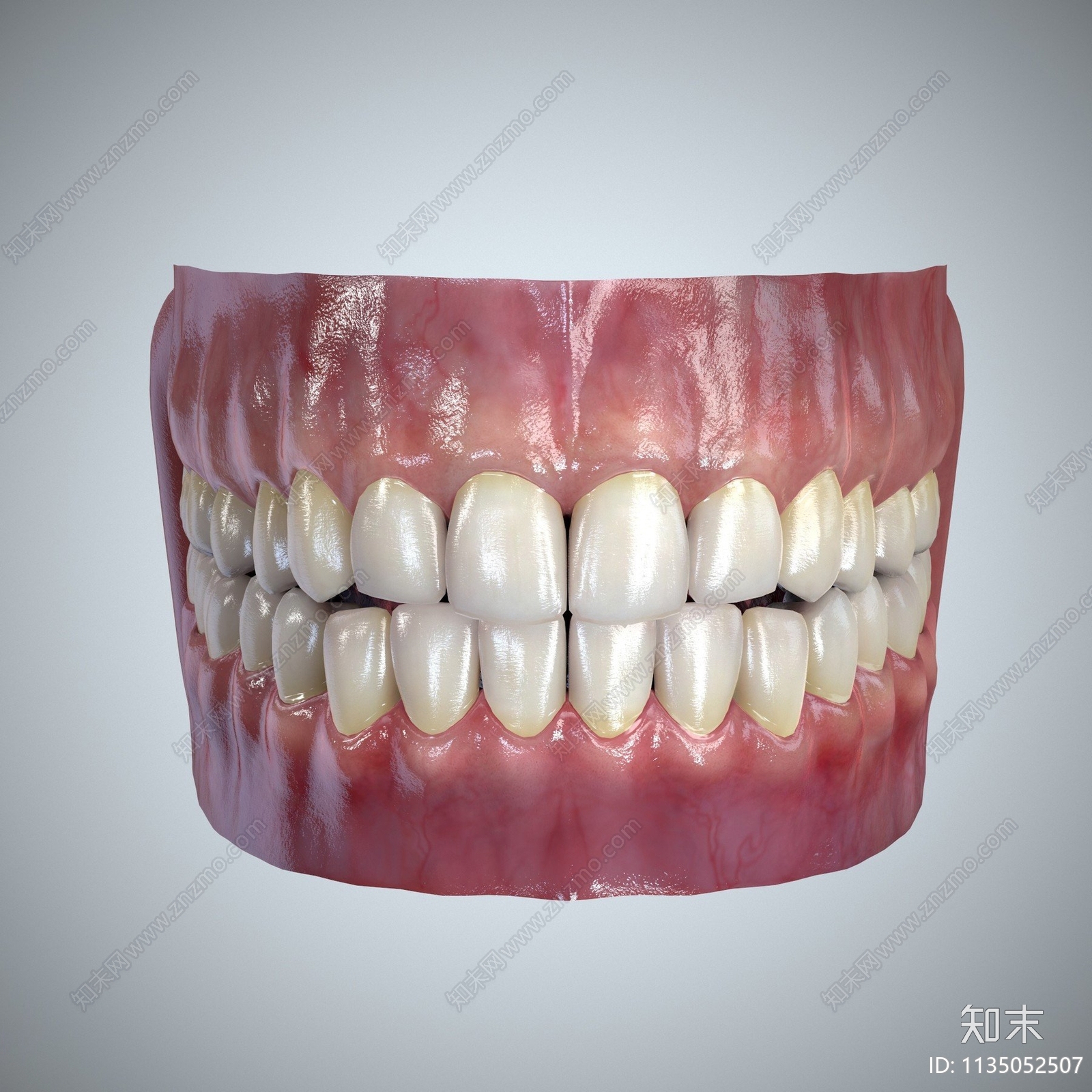 口腔牙科3D模型下载【ID:1135052507】