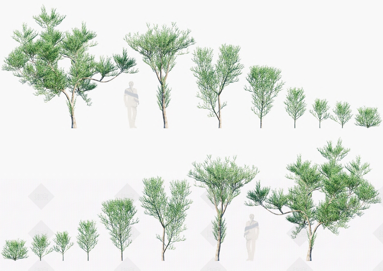 光棍树3D模型下载【ID:1135082783】