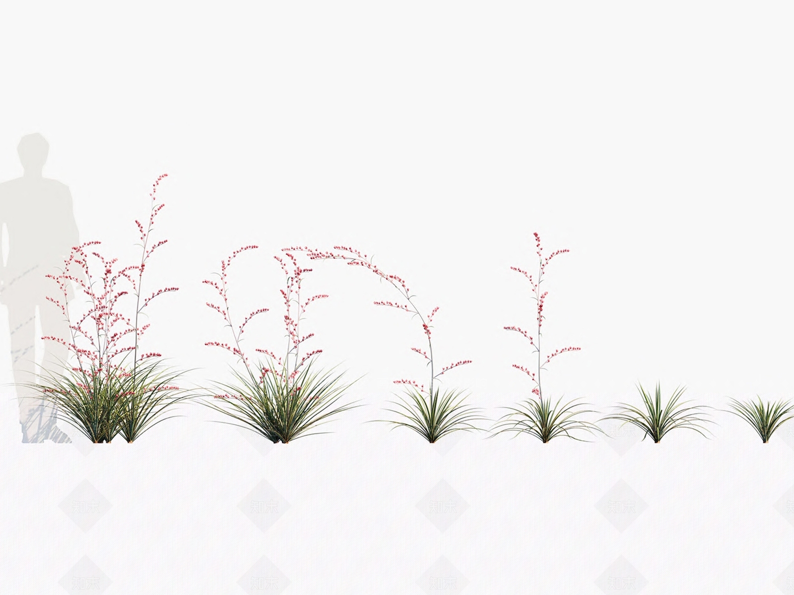 草3D模型下载【ID:1135082906】