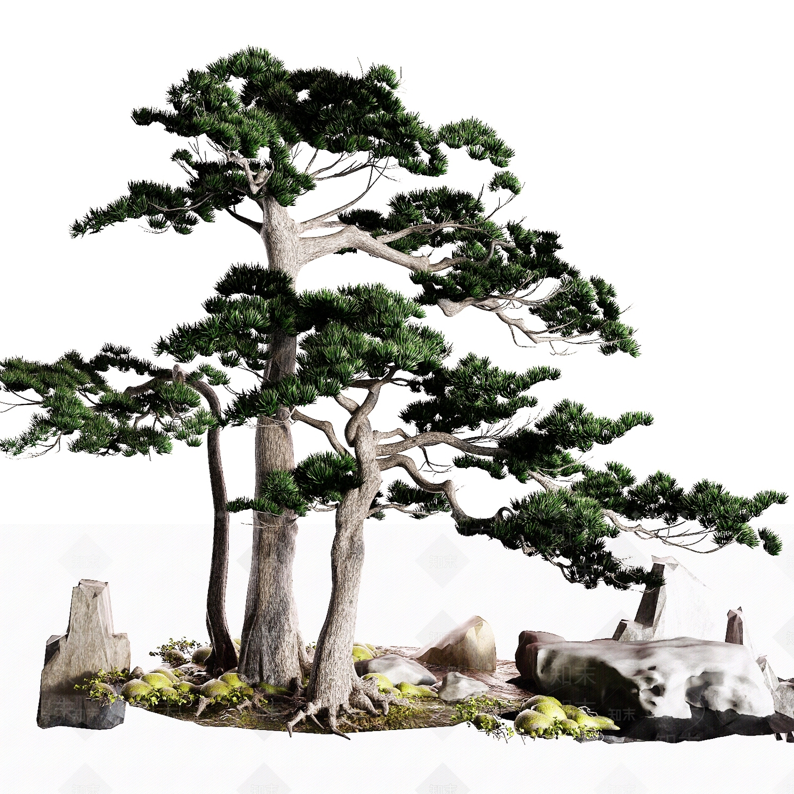 景观树3D模型下载【ID:1135149002】