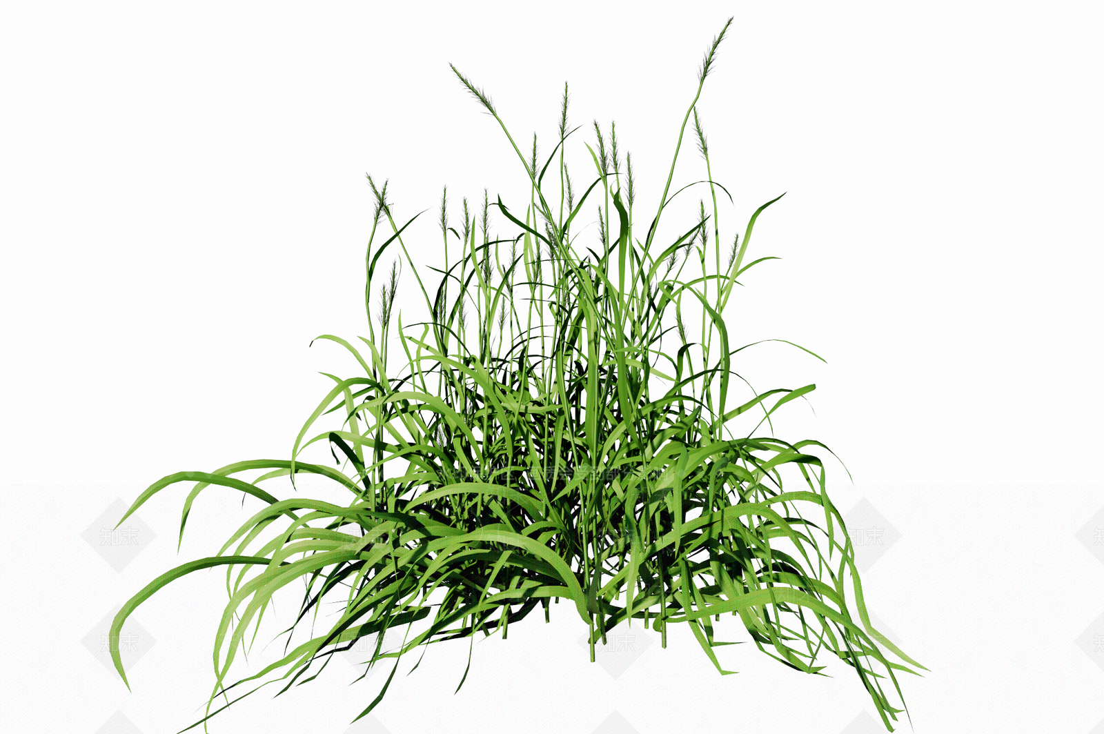 形态好精品三维草SU模型下载【ID:1135196554】