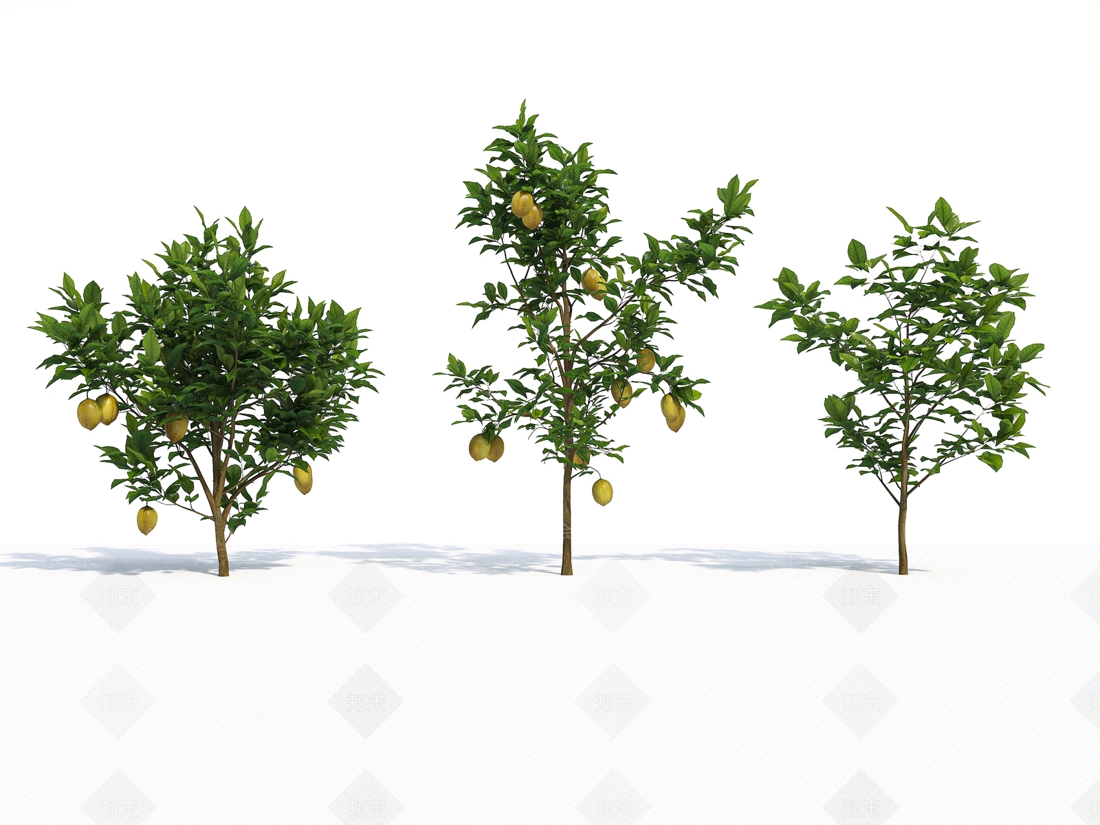 果树3D模型下载【ID:1135218807】