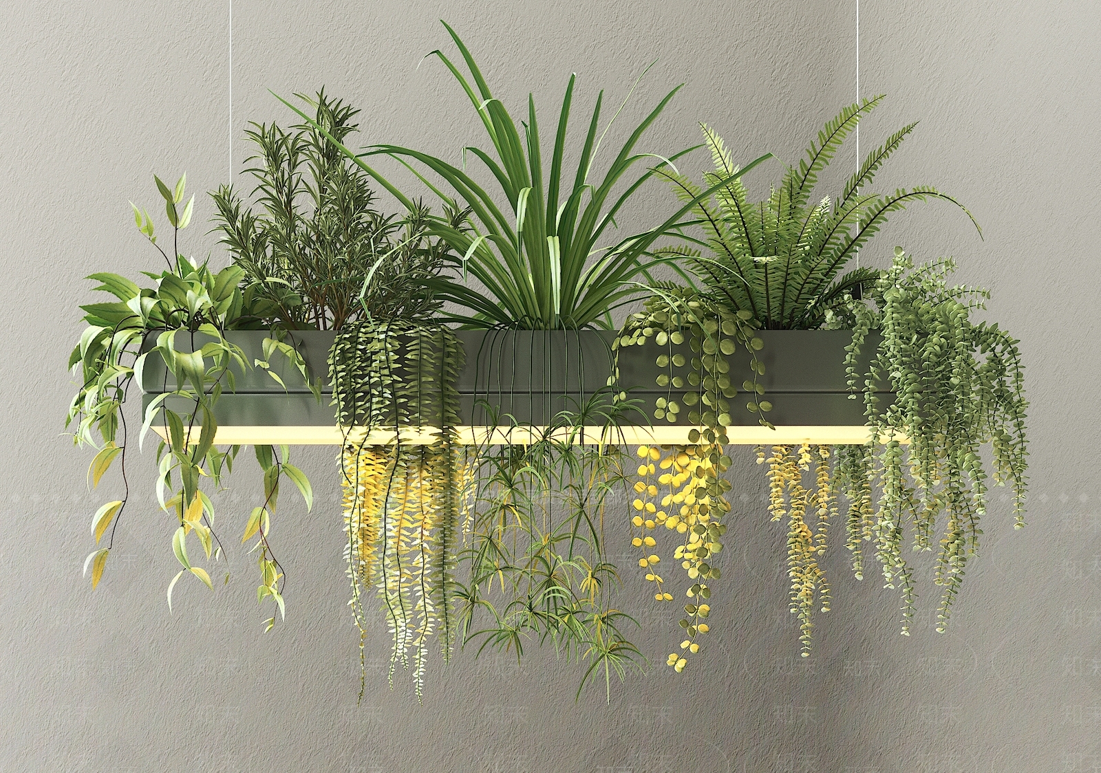 现代植物吊灯3D模型下载【ID:1135234937】