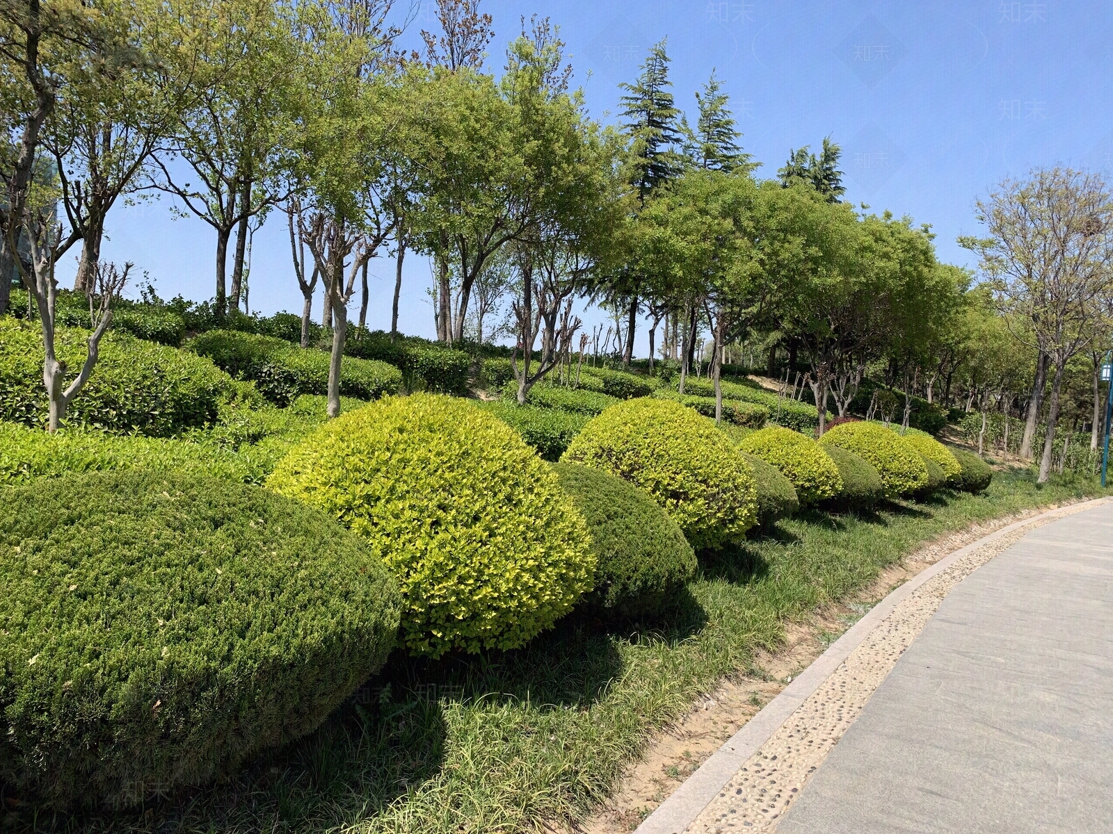 街道外景贴图下载【ID:1135236393】