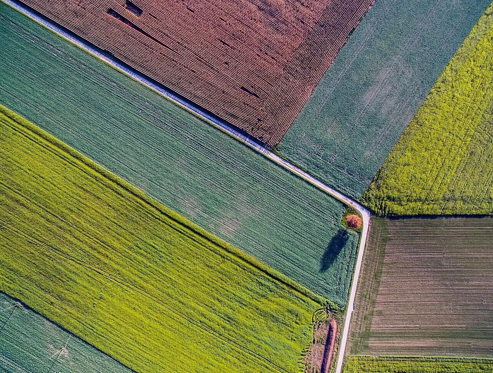 乡村农田俯视图贴图下载【ID:1135281235】