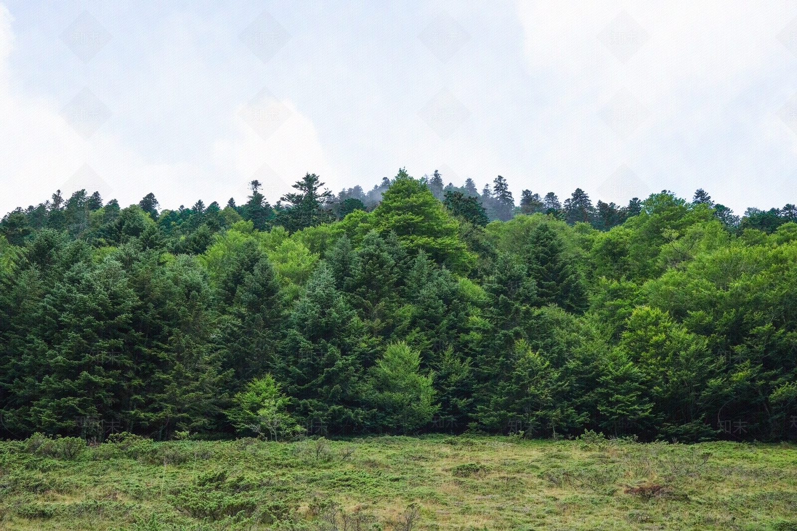 户外风景贴图贴图下载【ID:1135382028】