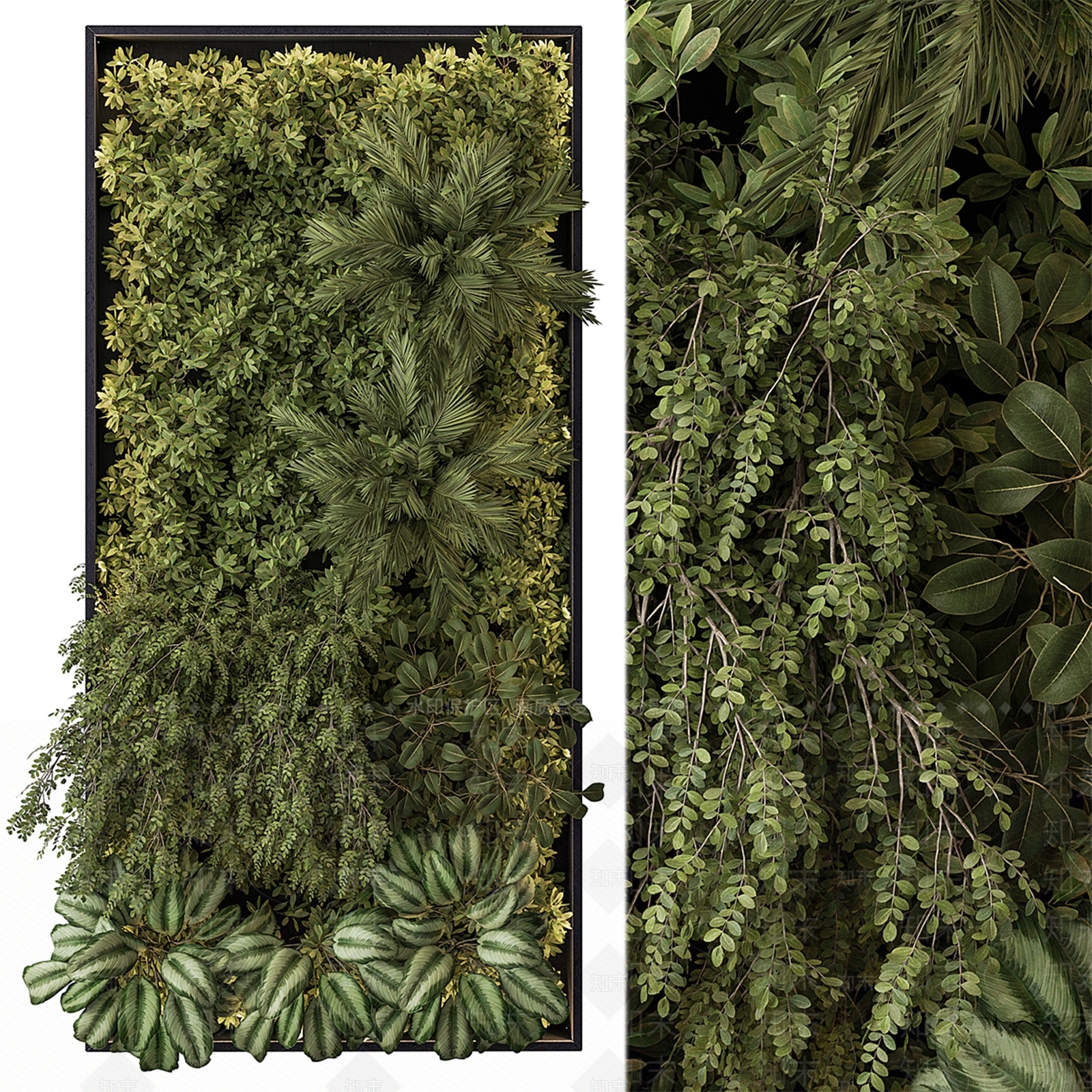 植物墙3D模型下载【ID:1137137069】