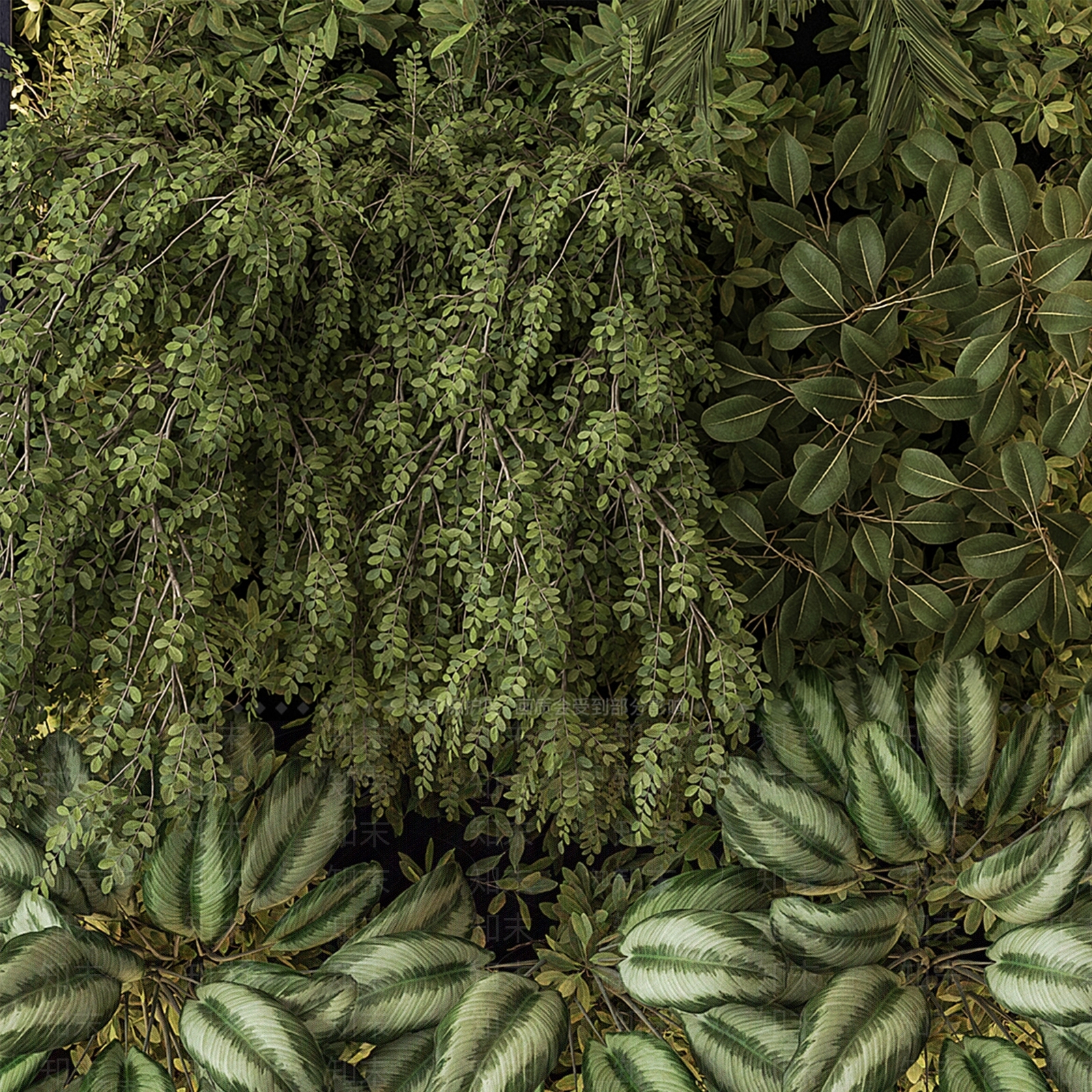 植物墙3D模型下载【ID:1137137069】