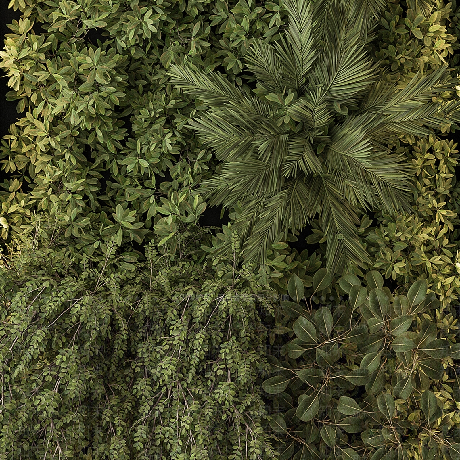植物墙3D模型下载【ID:1137137069】