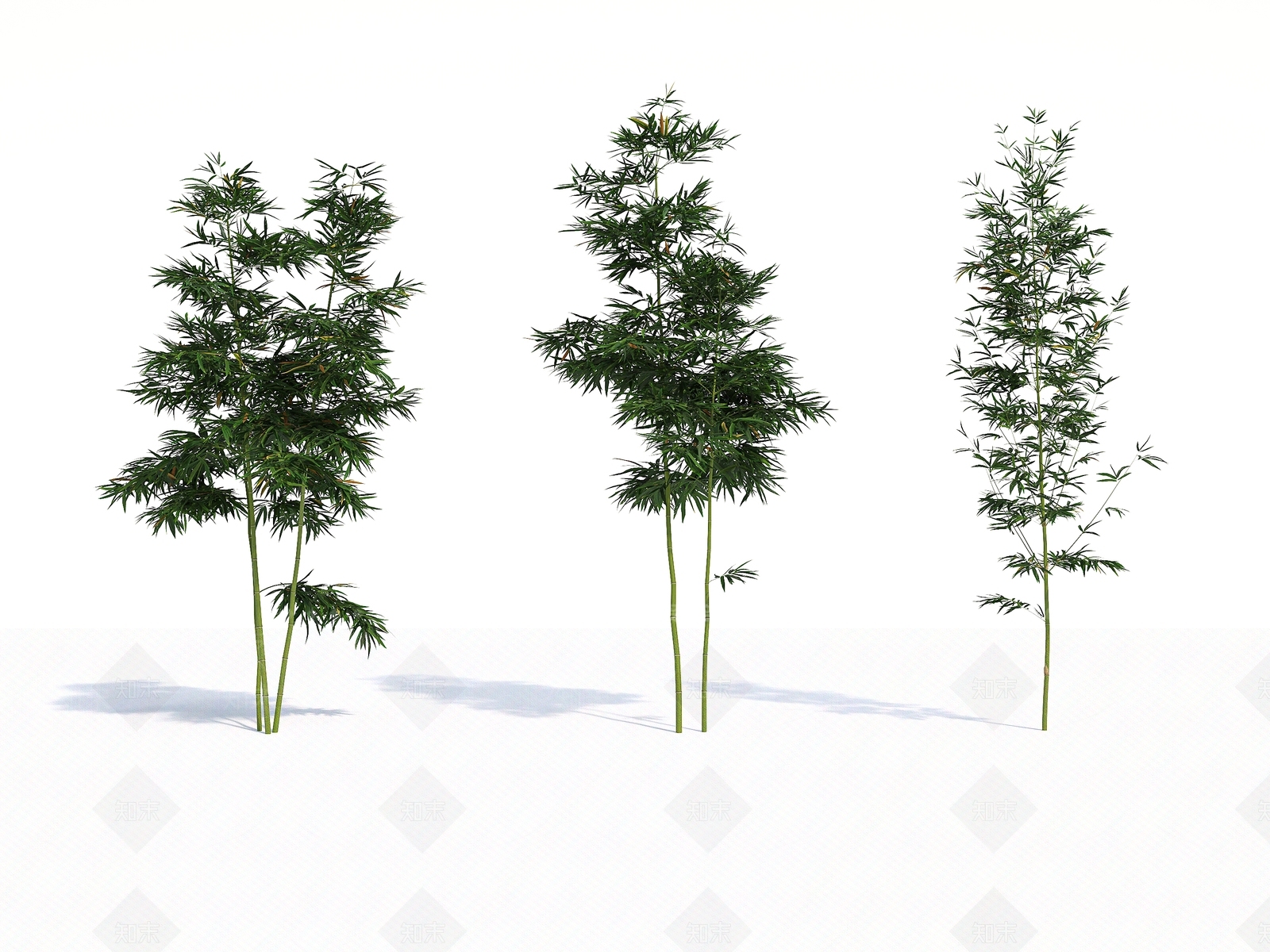 竹子3D模型下载【ID:1135412505】