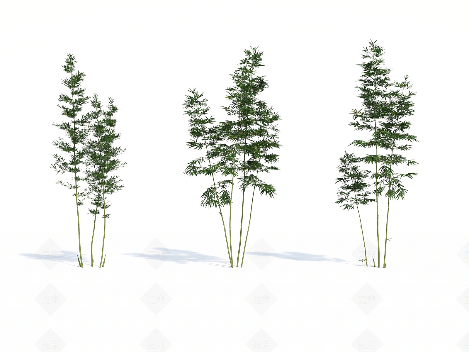 竹子3D模型下载【ID:1135412835】
