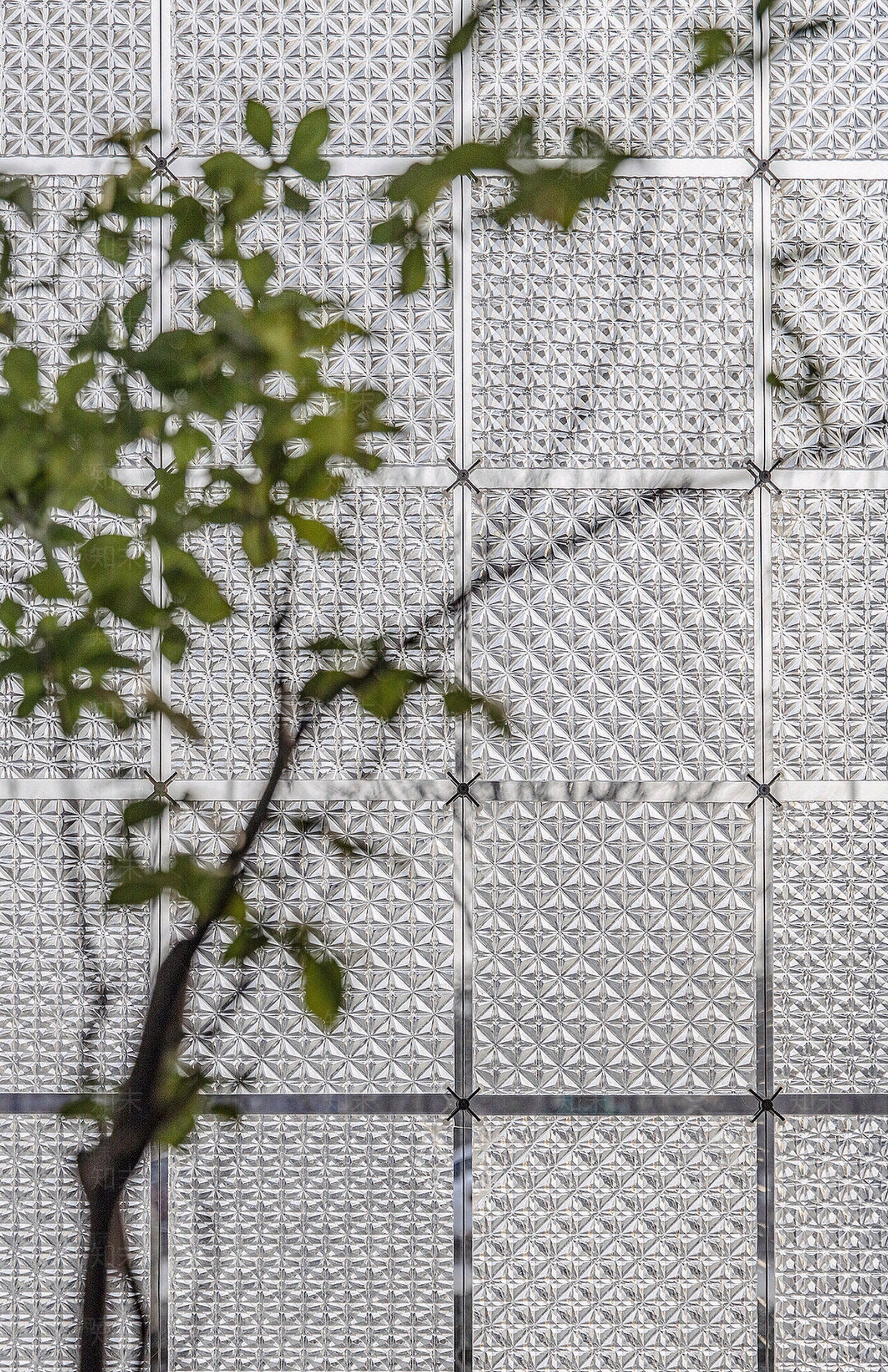 长虹玻璃贴图下载【ID:1135415426】