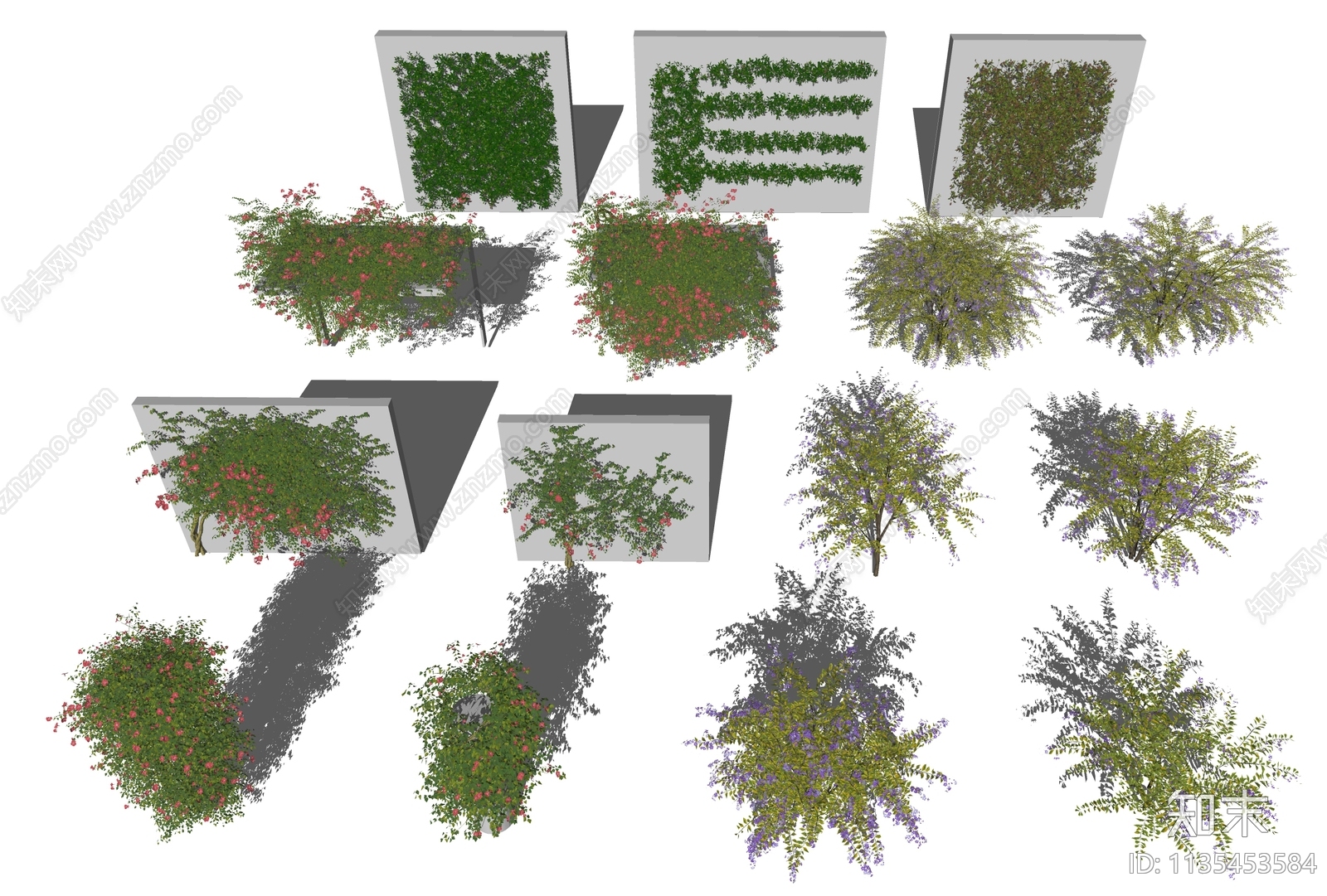 藤蔓绿植SU模型下载【ID:1135453584】