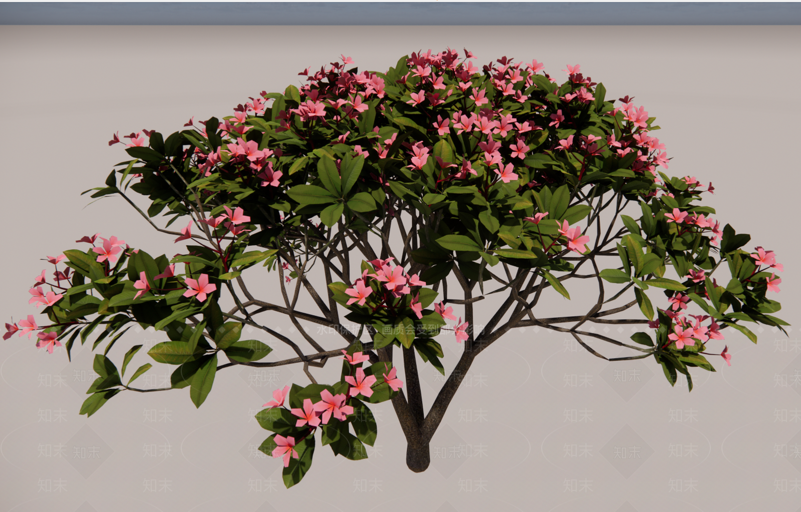 3d红色鸡蛋花SU模型下载【ID:1135527106】