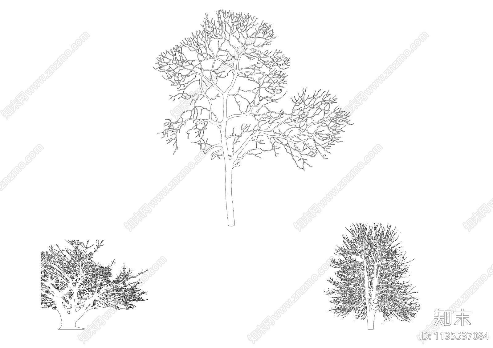 枯树枝植物cad施工图下载【ID:1135537084】