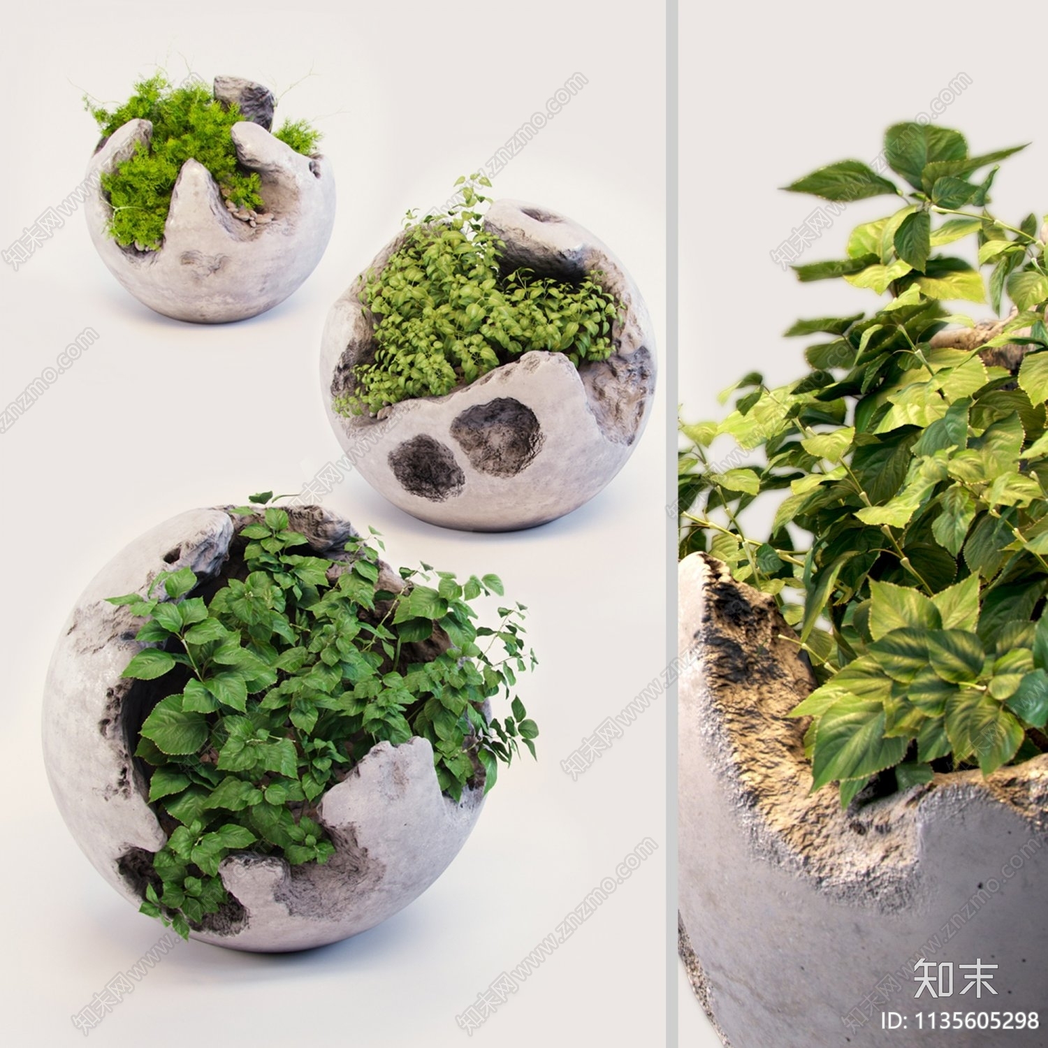 桌面微景观苔藓植物摆件组合SU模型下载【ID:1135605298】