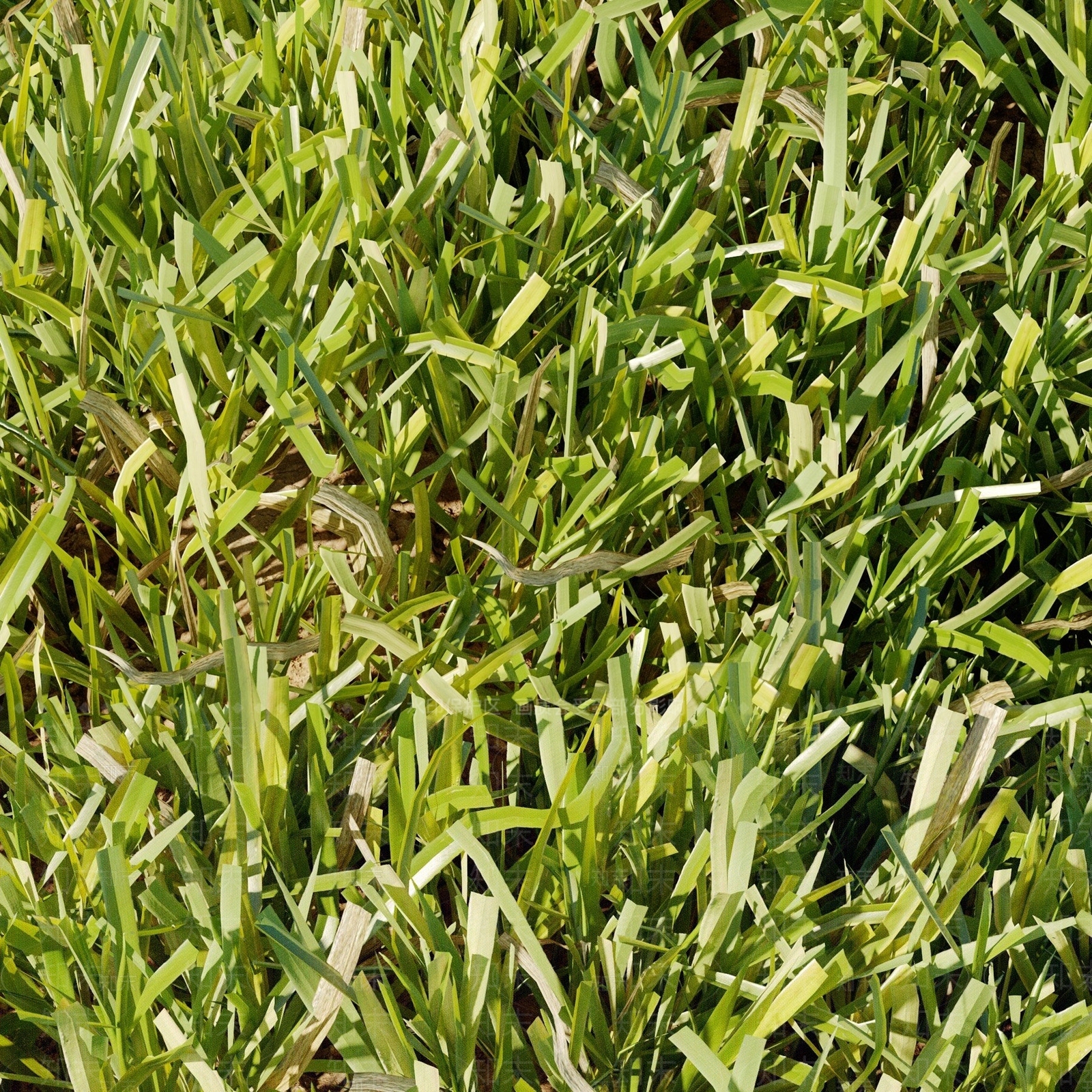 绿茵草坪草地3D模型下载【ID:1135651452】