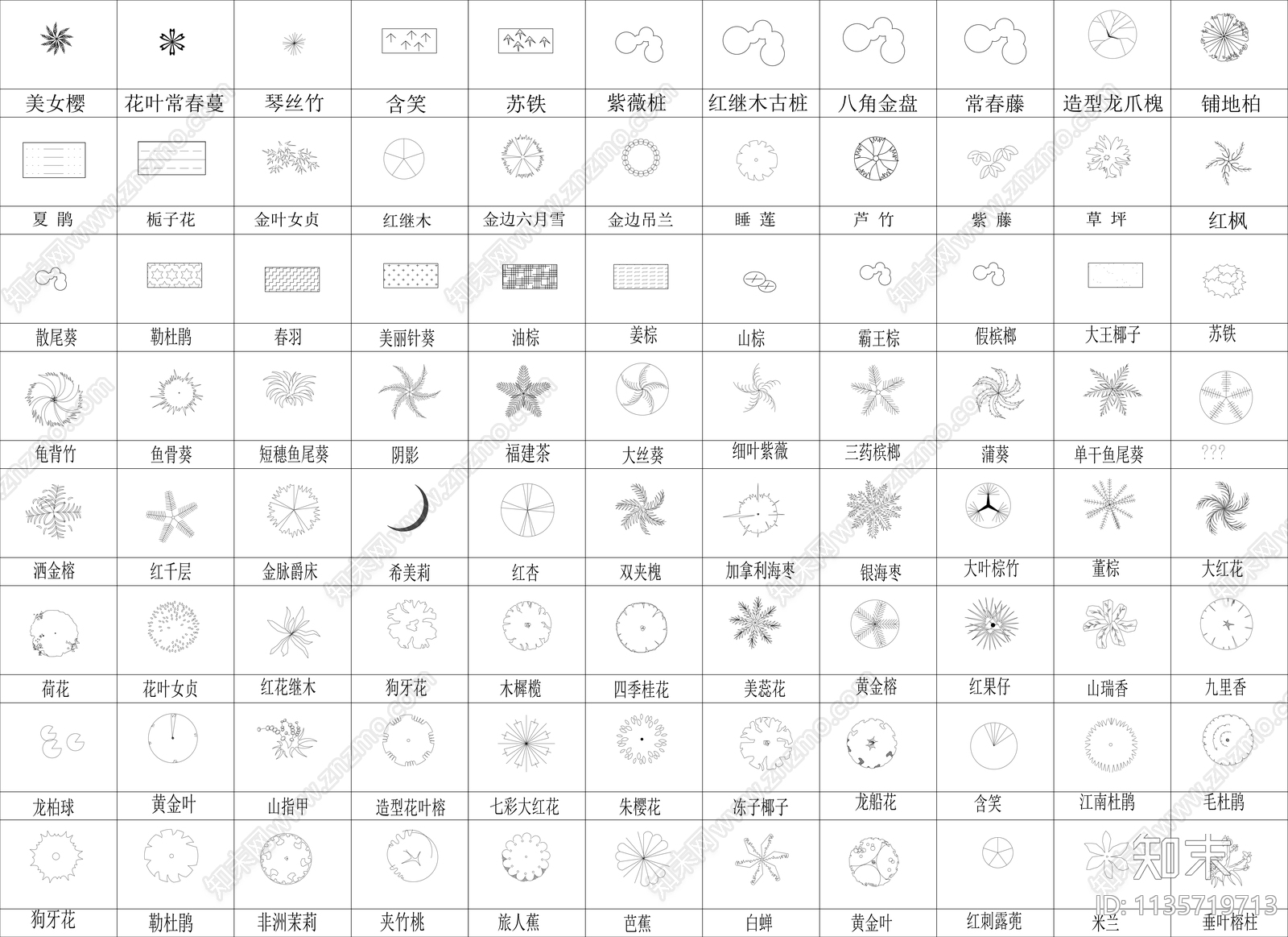 植物素材cad施工图下载【ID:1135719713】
