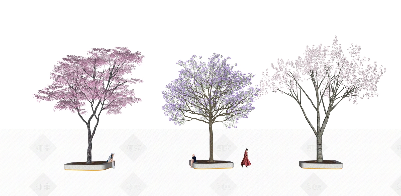 2D蓝花楹SU模型下载【ID:1135731115】