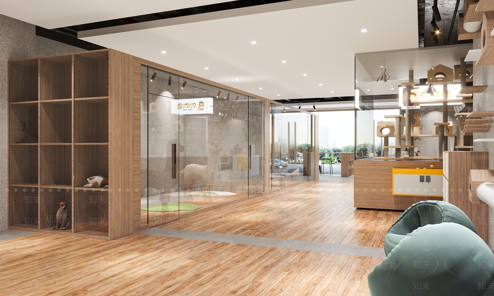 现代宠物店3D模型下载【ID:1135754313】