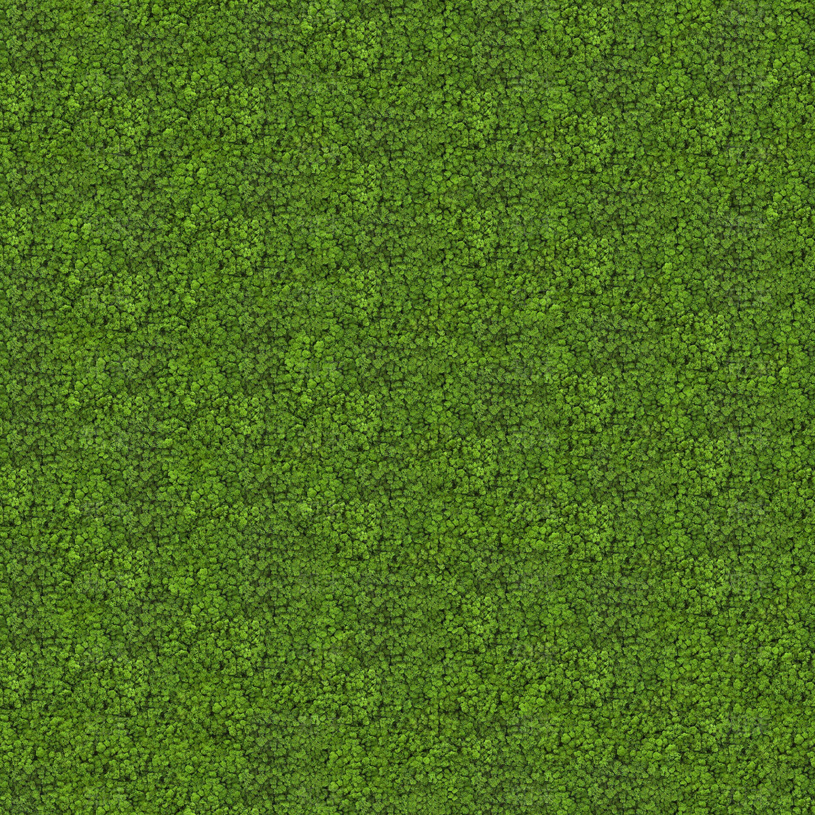 自然青苔贴图贴图下载【ID:1135777829】