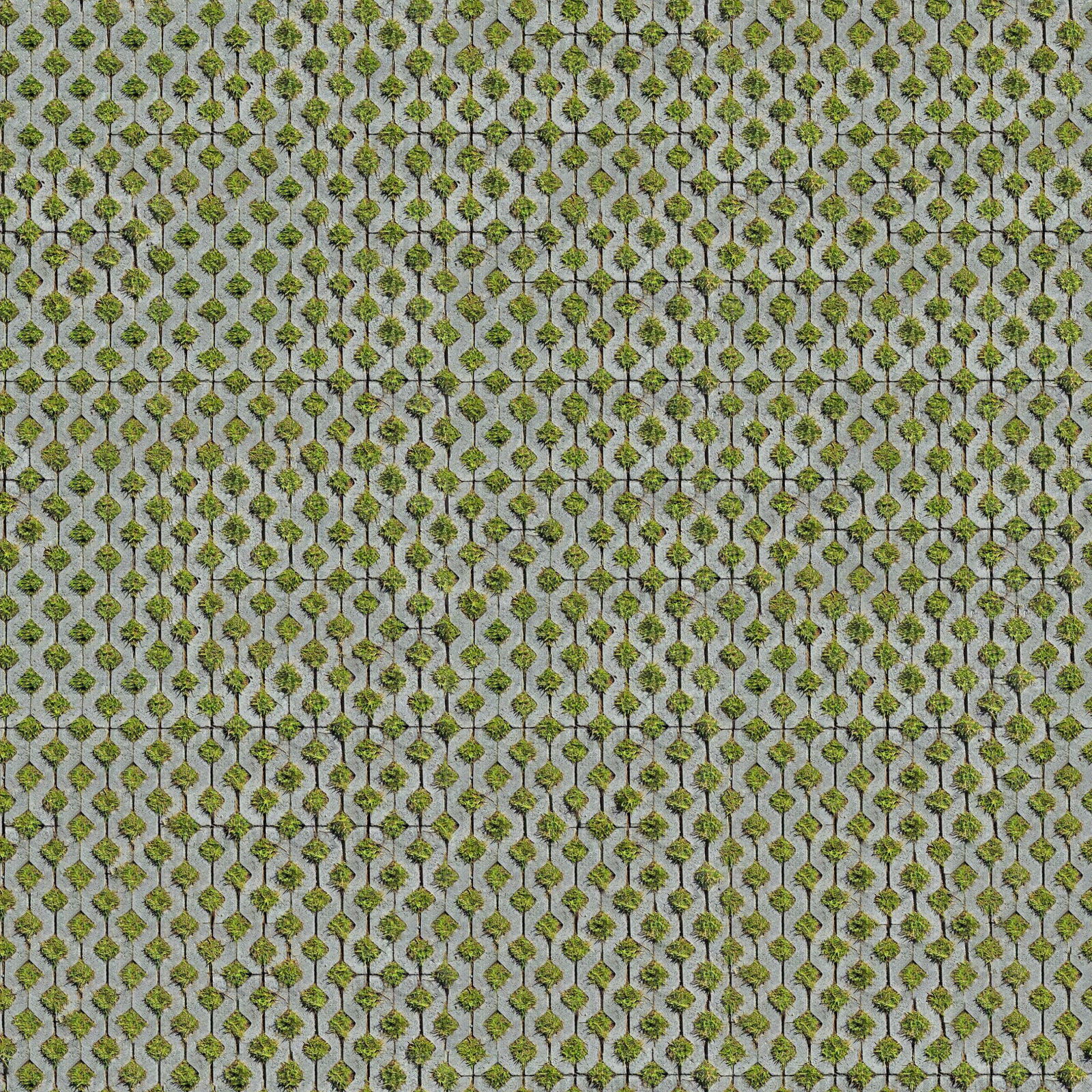 停车场植草砖贴图下载【ID:1135841659】