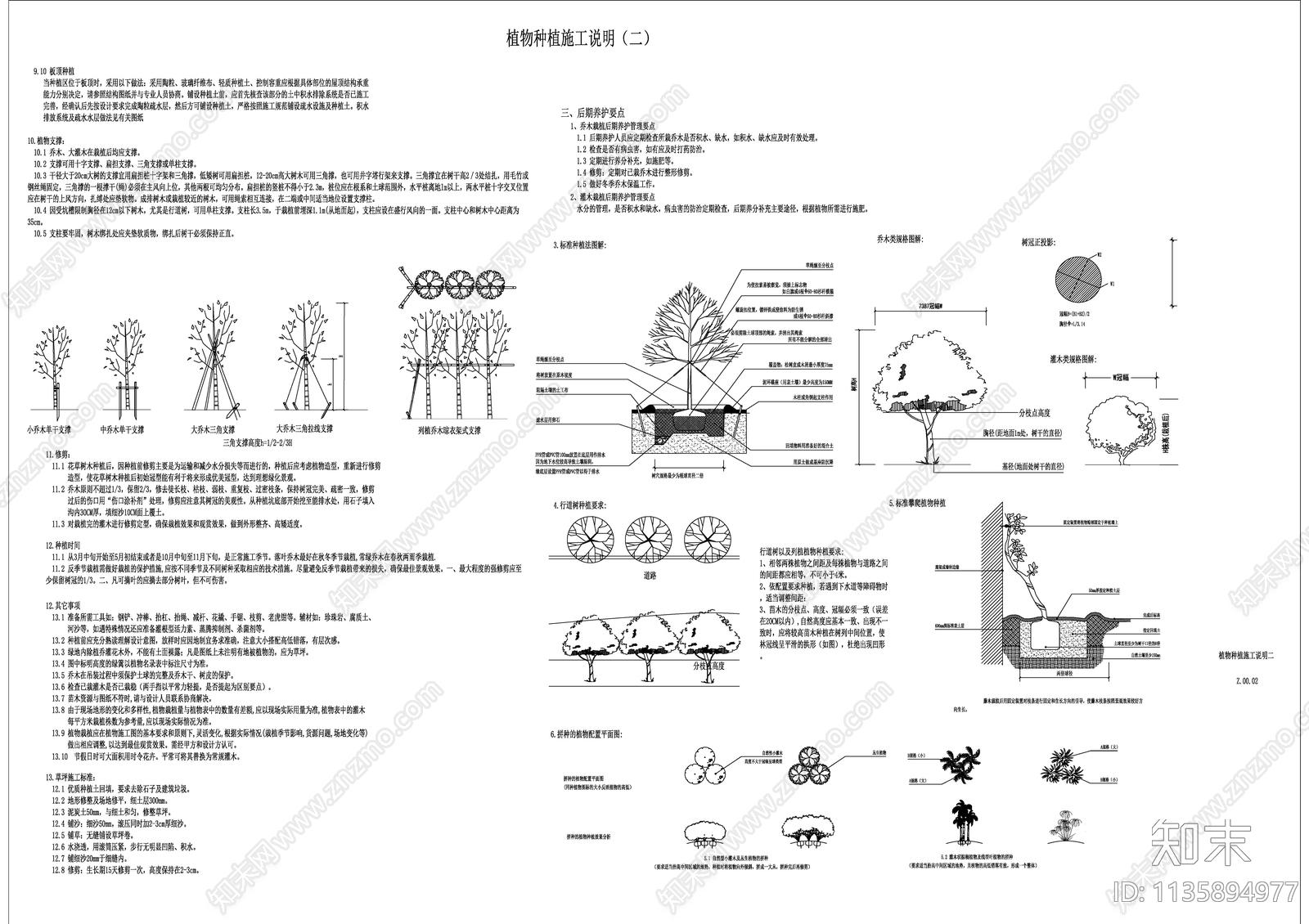 植物种植设计及施工说明施工图下载【ID:1135894977】