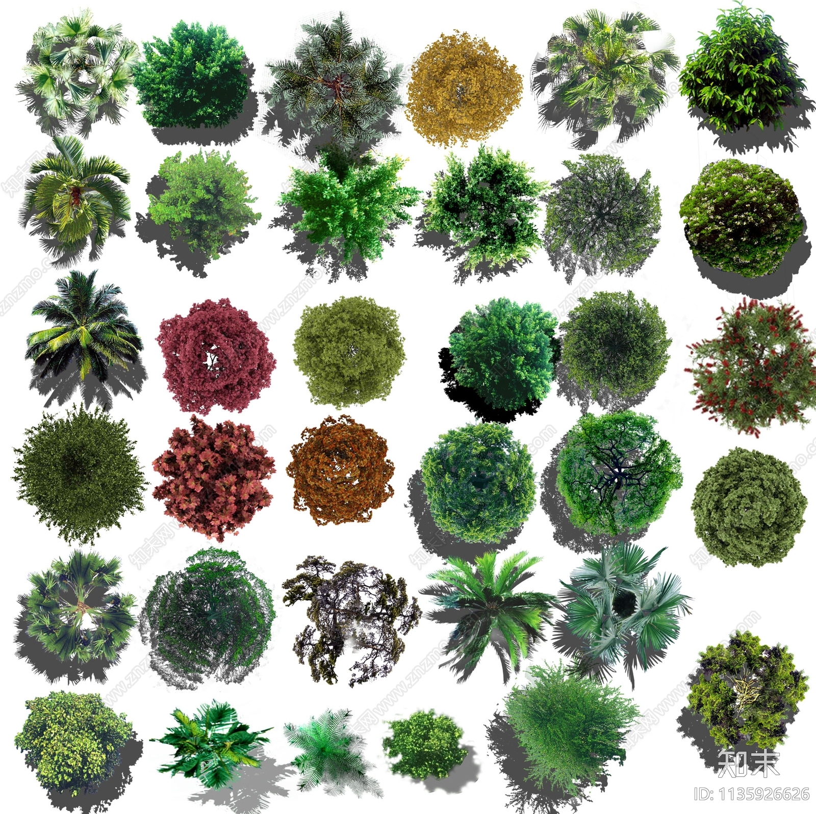 psd免抠植物贴图下载【ID:1135926626】_【知末网贴图库】