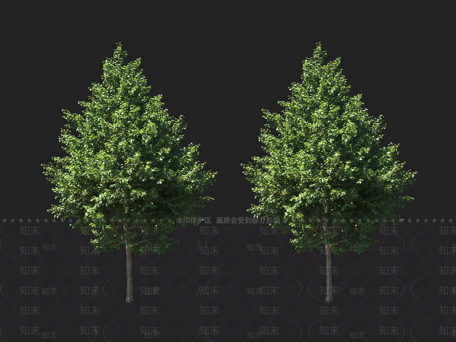 菩提树3D模型下载【ID:1135935466】