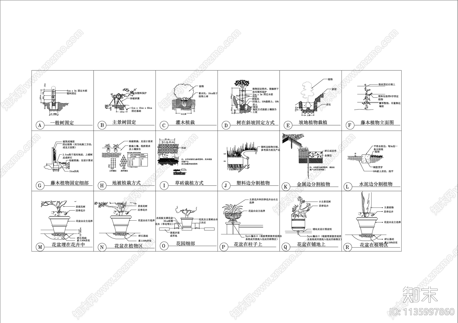 植物种植设计及说明施工图下载【ID:1135997860】