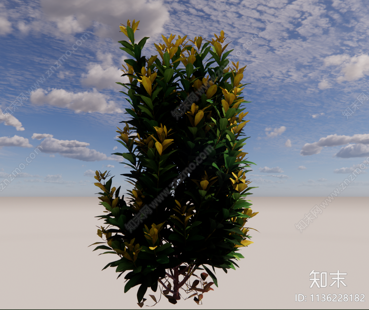 灌木3D模型下载【ID:1136228182】