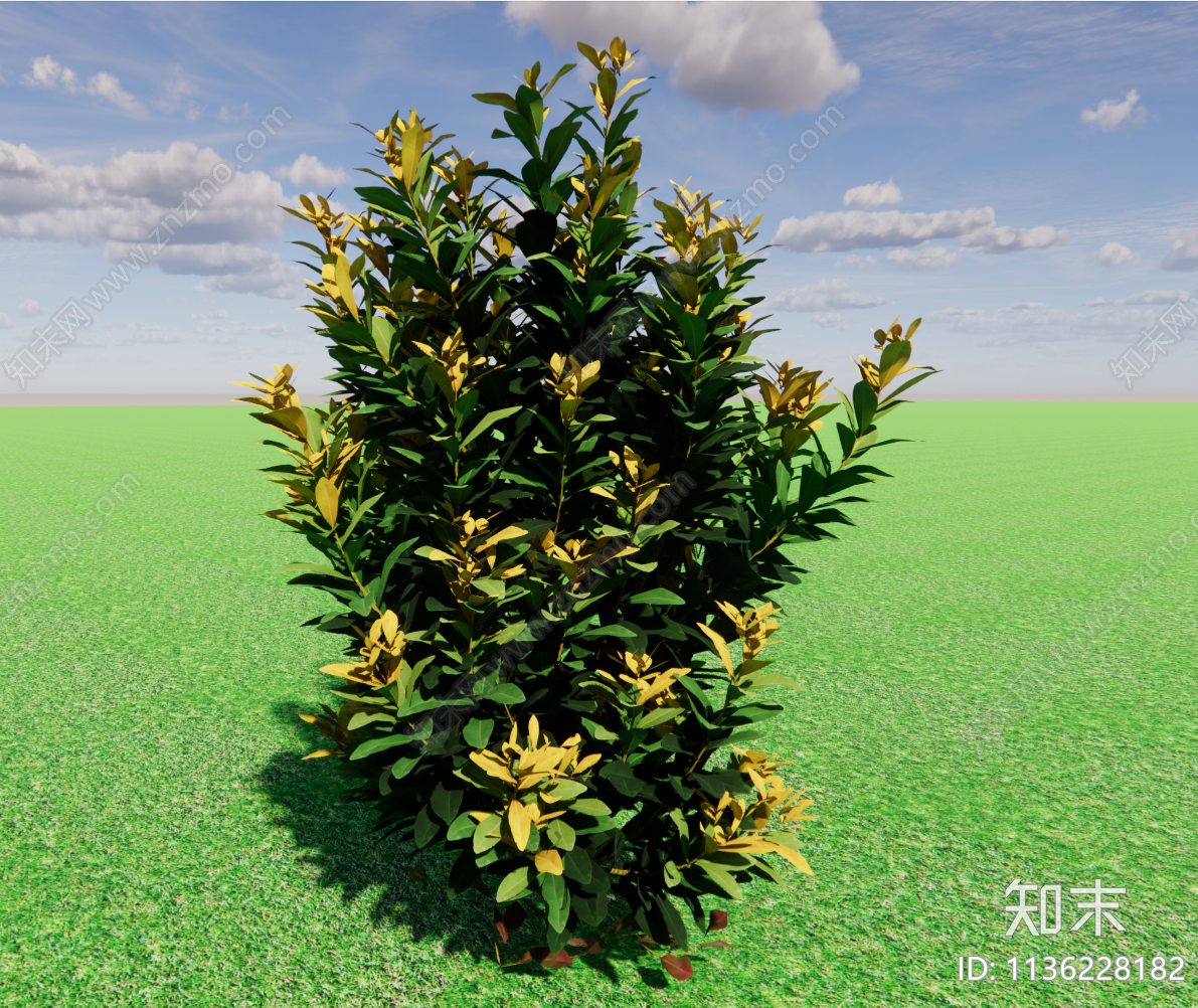 灌木3D模型下载【ID:1136228182】