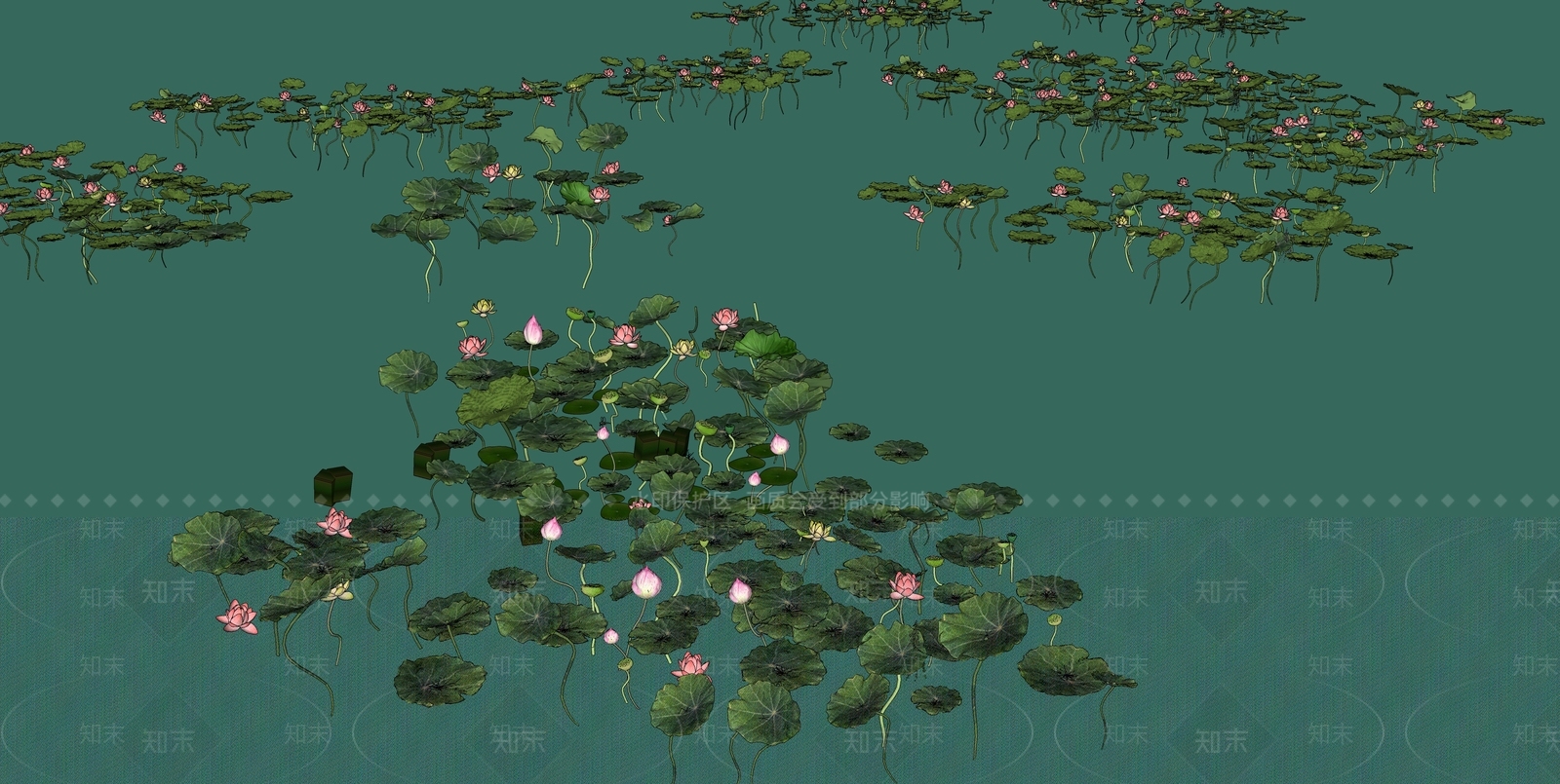 荷花SU模型下载【ID:1136267658】