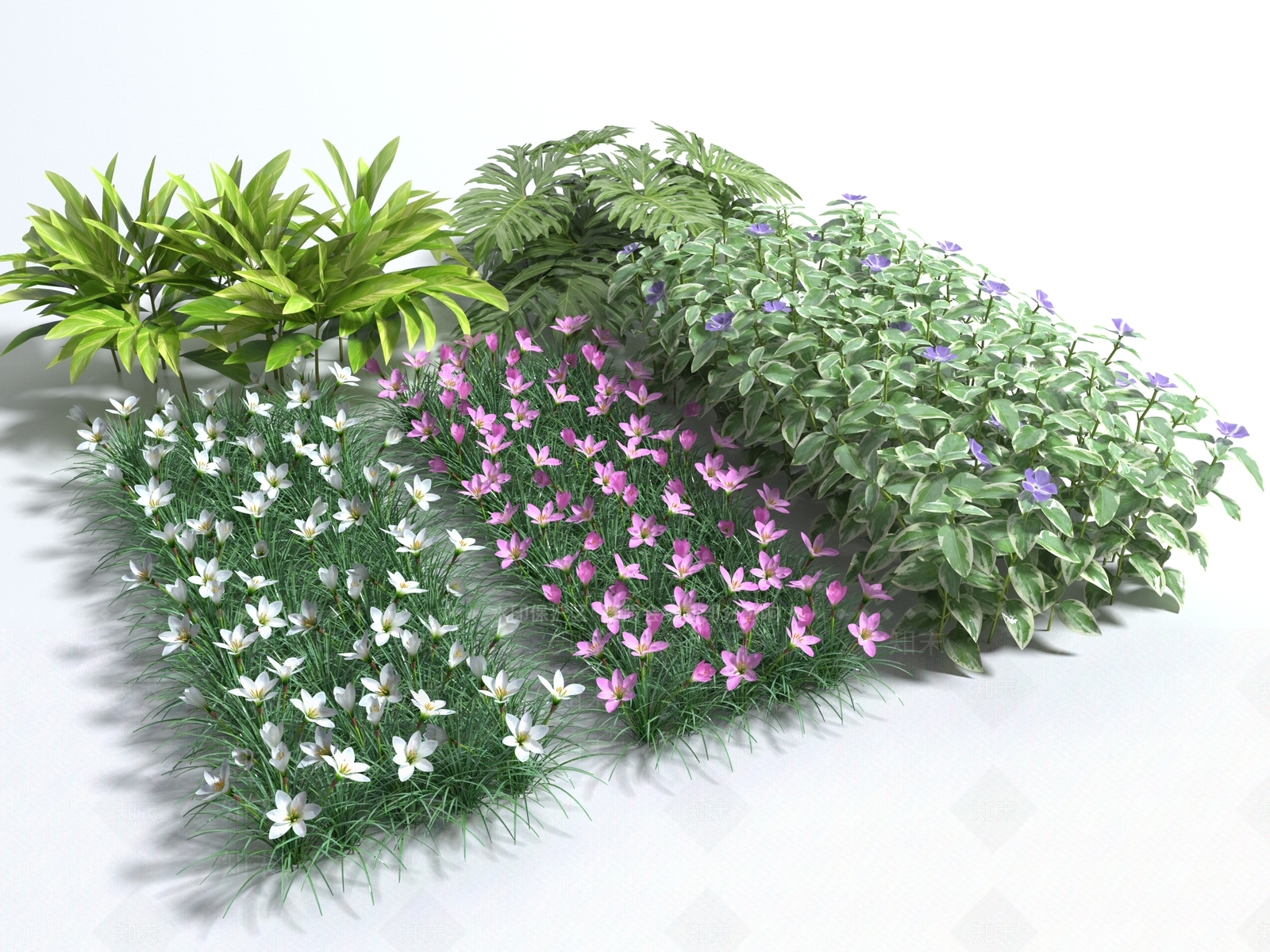 花卉3D模型下载【ID:1136331015】