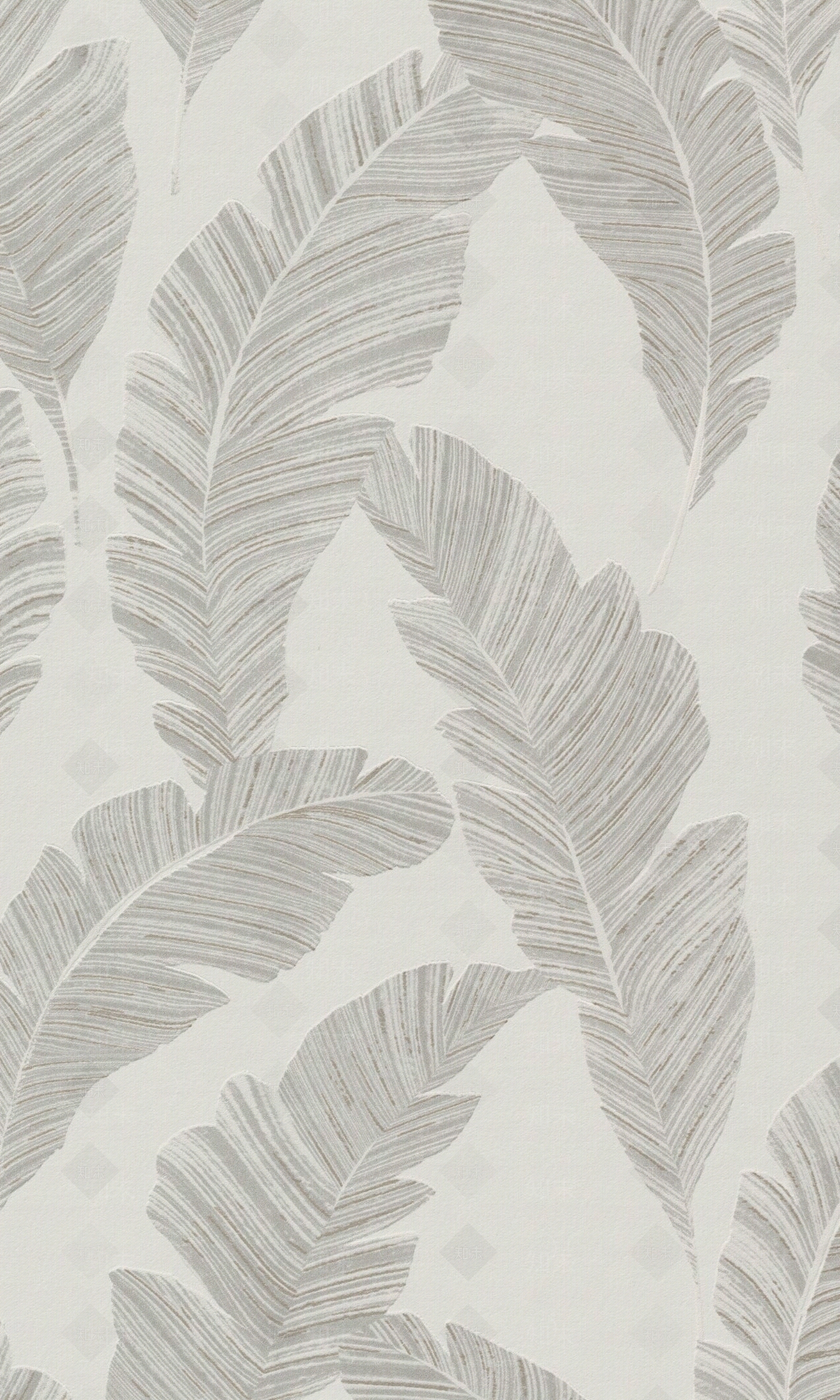 白色素描叶子植物壁纸贴图下载【ID:1136362291】