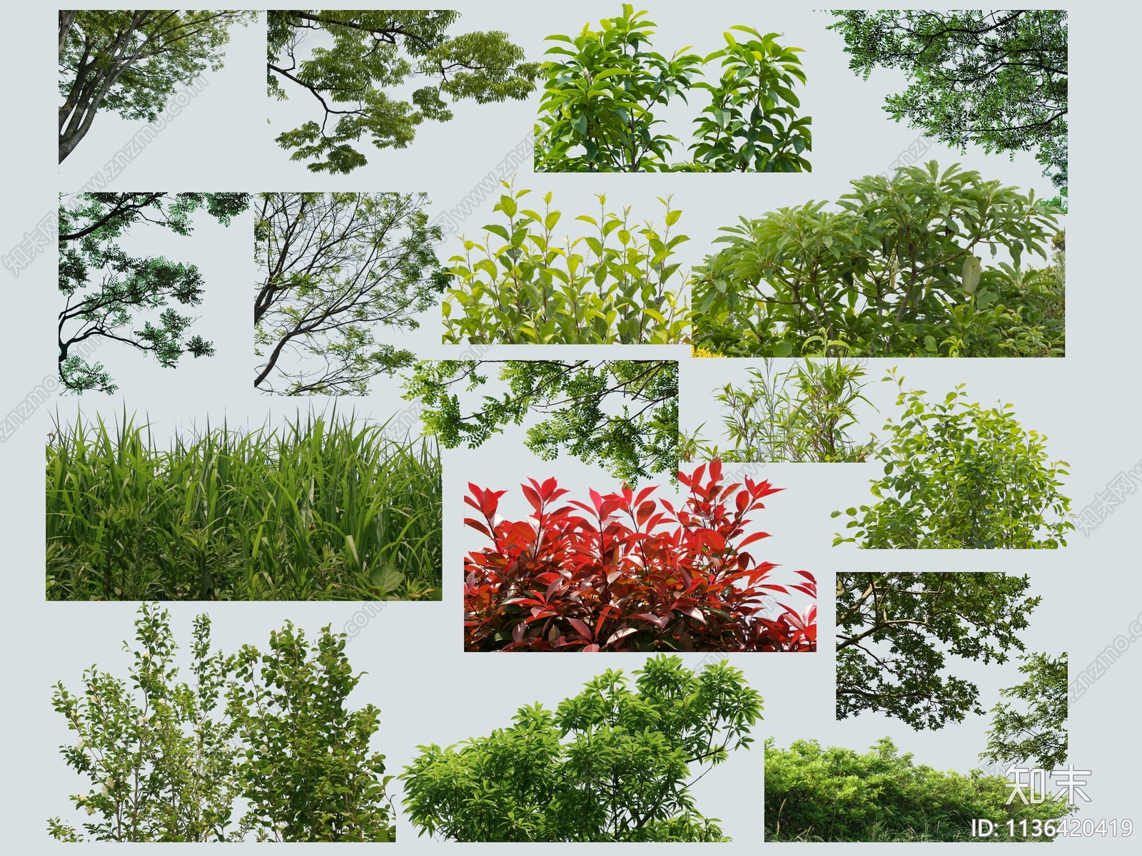 psd免抠边角树前景树下载【ID:1136420419】undefined