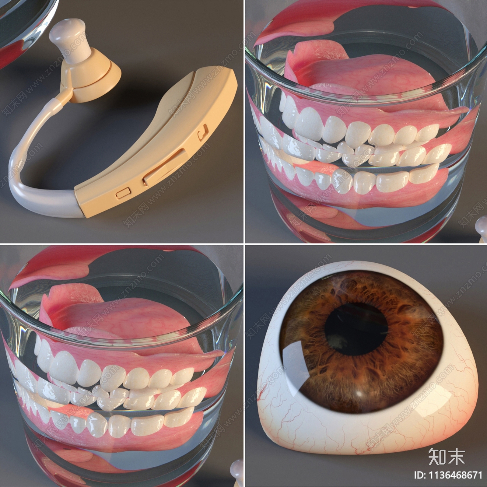 老年人假牙套组3D模型下载【ID:1136468671】