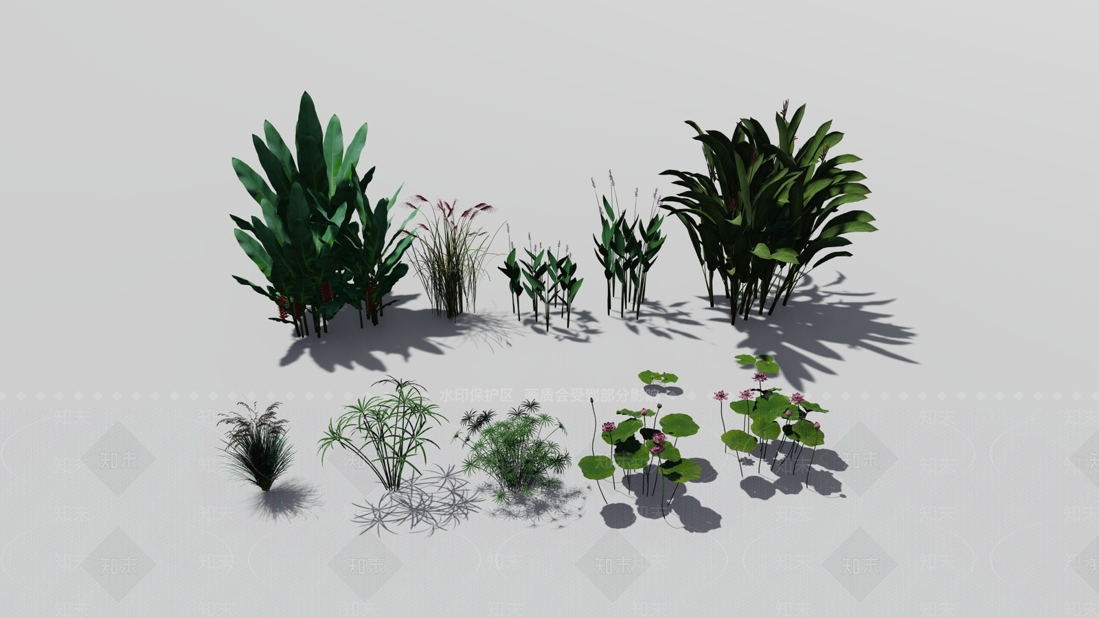 水生植物类SU模型下载【ID:1159861458】