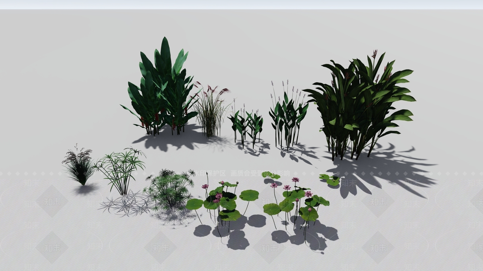 水生植物类SU模型下载【ID:1159861458】