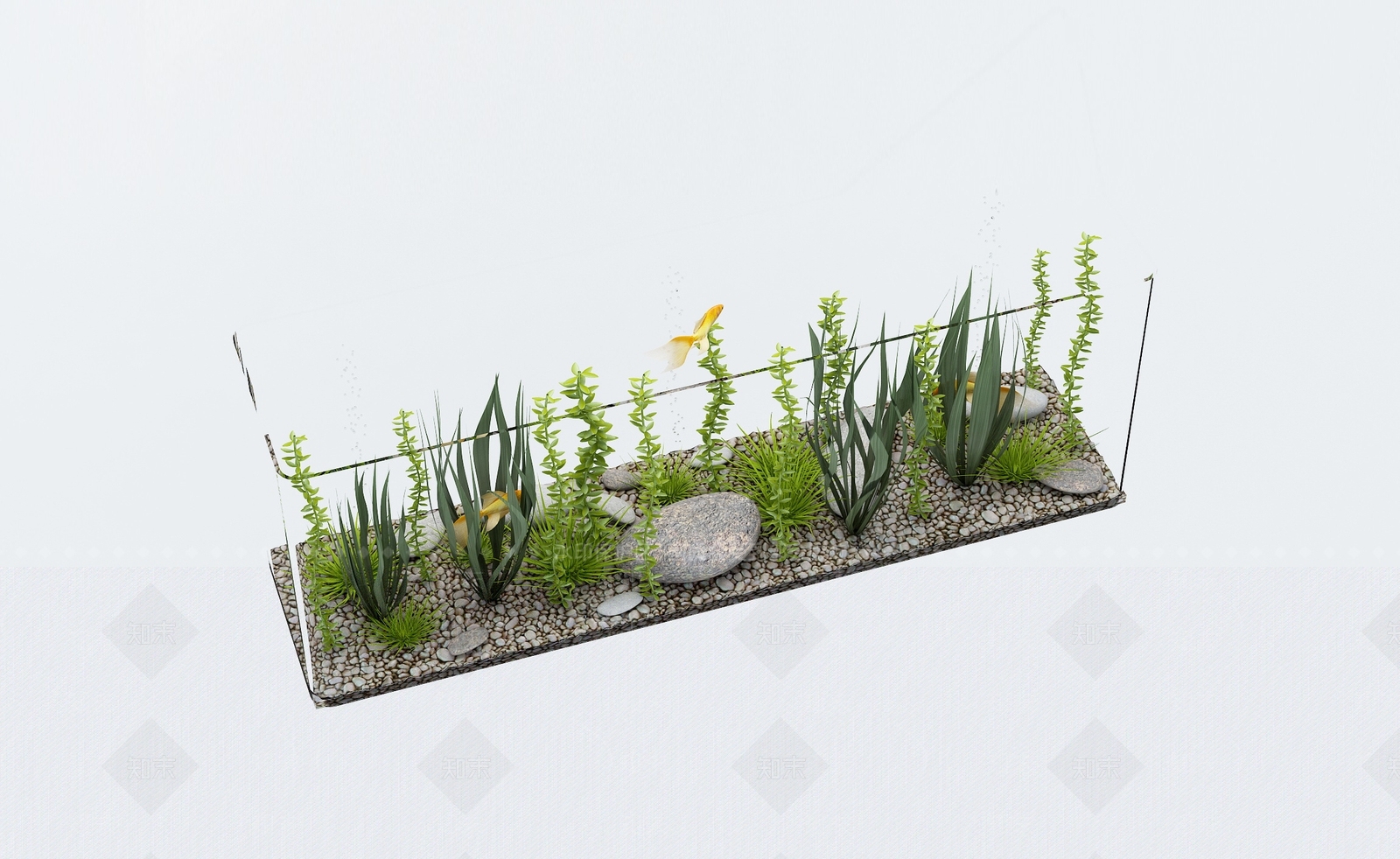 现代鱼缸水族3D模型下载【ID:1136541434】