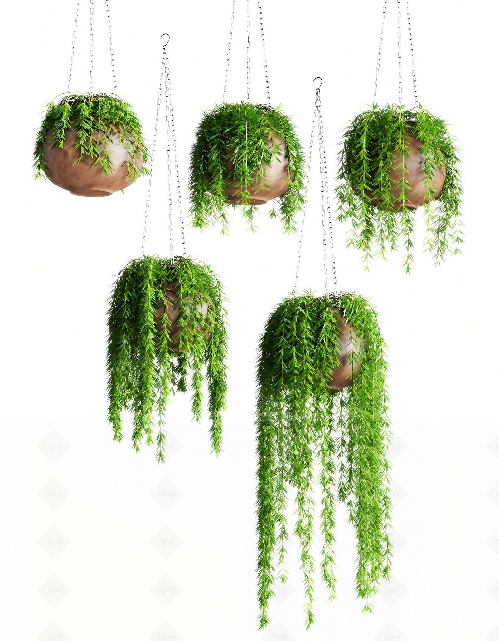 藤本吊篮绿植物组合SU模型下载【ID:1136568411】