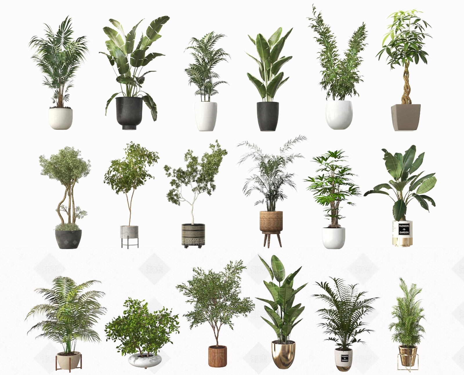 室内植物盆栽3D模型下载【ID:1136630589】