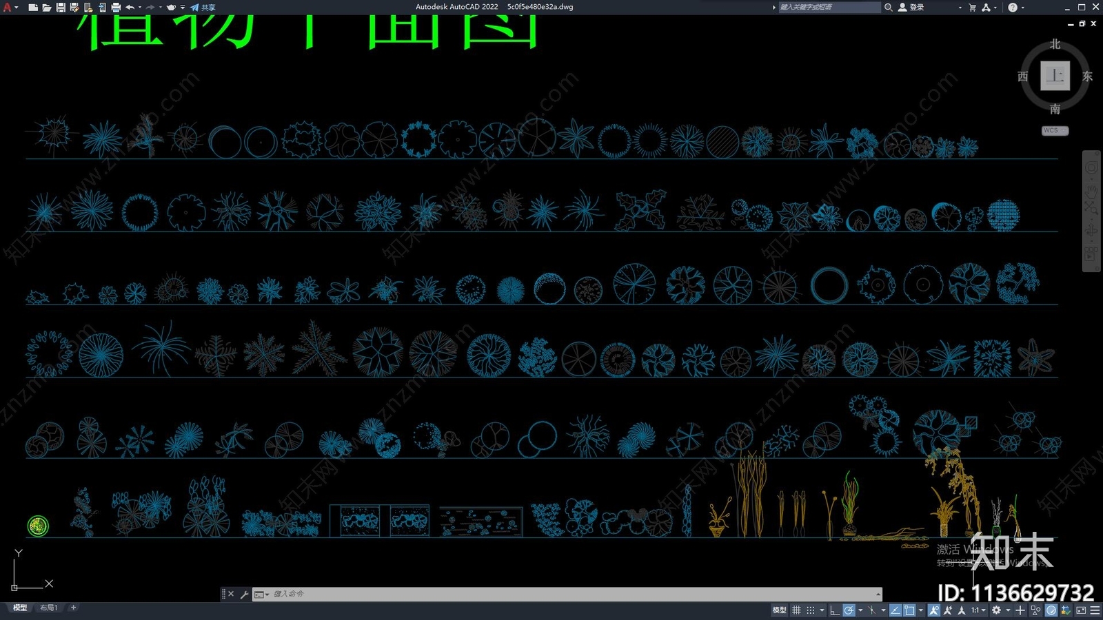 CAD常用绿植cad施工图下载【ID:1136629732】