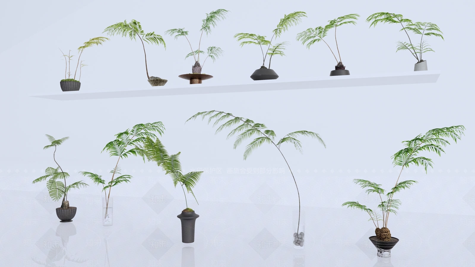 蕨类植物SU模型下载【ID:1136734070】